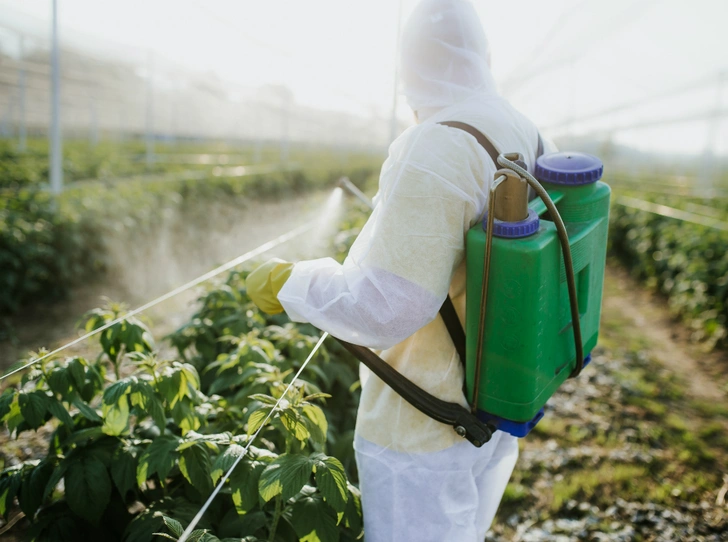 Что нужно знать о настоящих органических продуктах (и о том, как их вычислить)