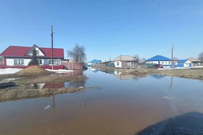 В Михайловском районе объявлен режим ЧС из-за талых вод