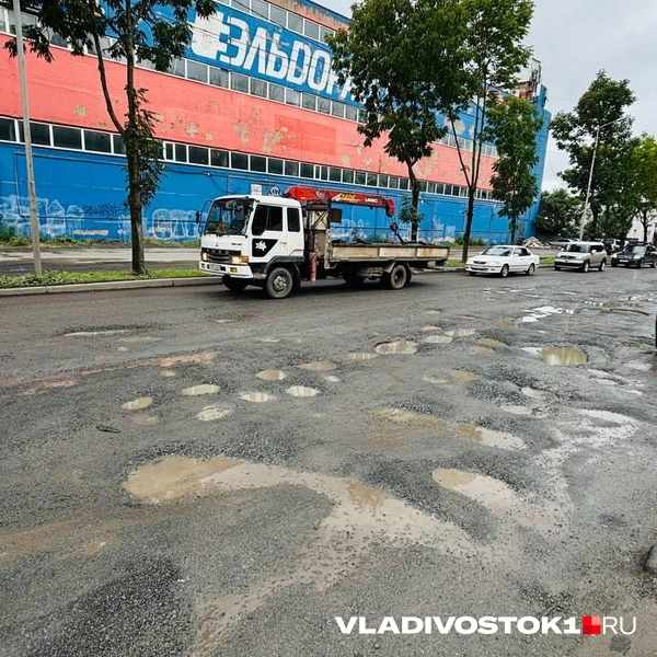 Источник: Елена Буйвол / VLADIVOSTOK1.RU