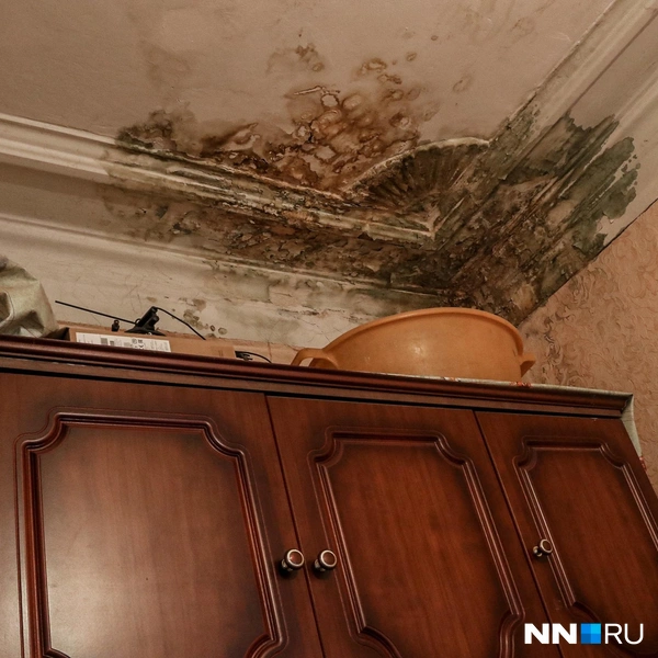 Потолок в ужасном состоянии | Источник: Наталья Бурухина / NN.RU