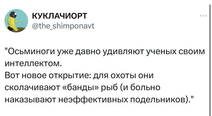 Источник: Twitter (X)