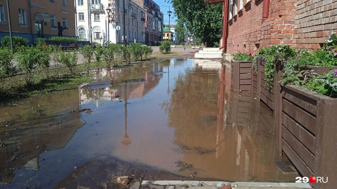 Источник: Юрий Скородумов