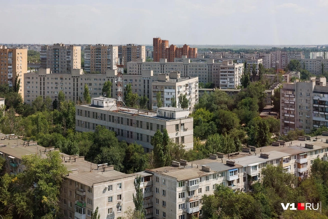 А вот многоквартирные дома деревья спрятать уже не в силах  | Источник: Алексей Волхонский / V1.RU