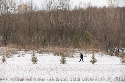 Морозы в Кузбассе сдают позиции к воскресенью