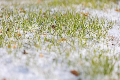 В Зауралье ожидаются снег и дожди