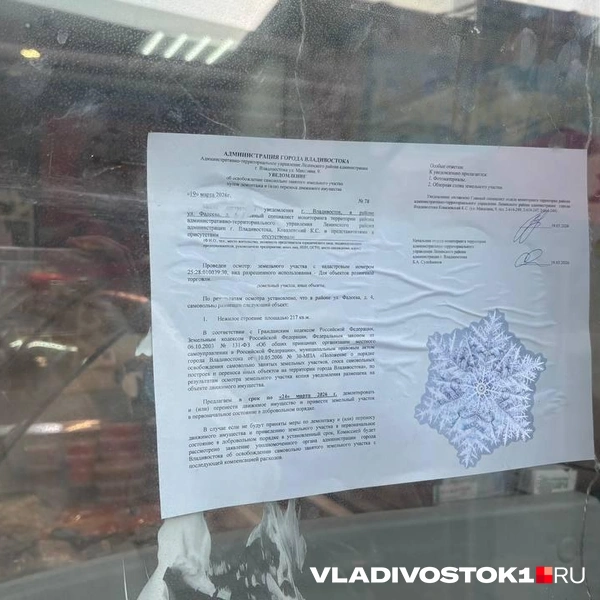 Источник: Елена Буйвол / VLADIVOSTOK1.RU