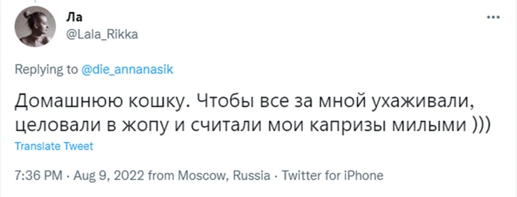 «Хочу быть пандой»: образ жизни каких животных нам кажется привлекательным