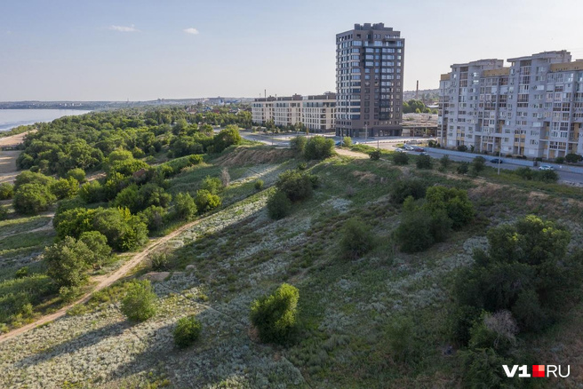 Фото На Тулака Волгоград