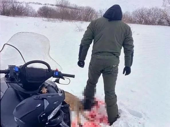 Охотникам грозит до пяти лет в колонии | Источник: УМВД по Рязанской области