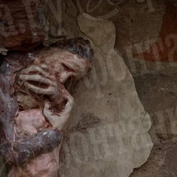 Источник: предоставлено «Фонтанке»