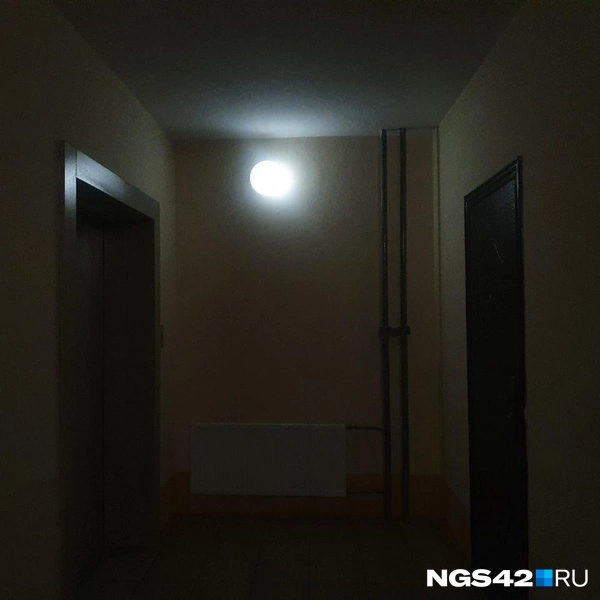 Источник: Полина Чернядьева / NGS42.RU