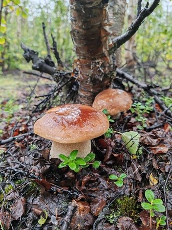 Источник: Александр Обрядин