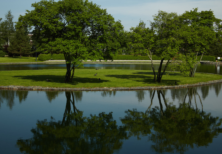 Венеция, Англия, Восток: 5 садов Millennium Park