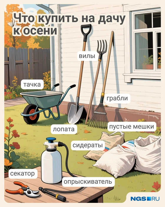 Источник: Юрий Орлов / Городские медиа