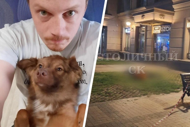 По версии СК, медик выпал из окна после приезда на вызов | Источник: Павел Начинов / Vk.com, Столичный СК / T.me