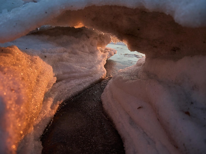 Источник: Александр Ощепков / NGS.RU