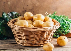 Польза и вред картофеля для здоровья и красоты