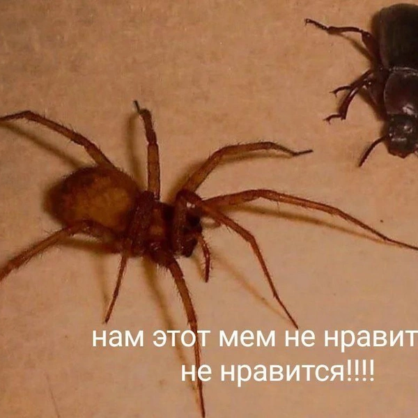 Источник: Соцсети