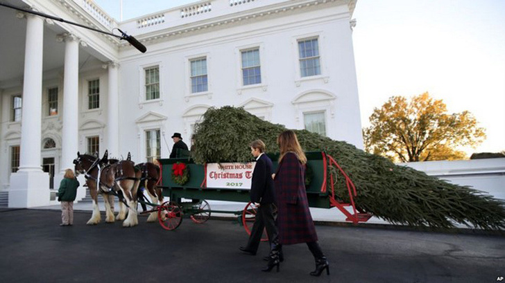 Мелания Трамп украсила Белый Дом к Рождеству фото [8]