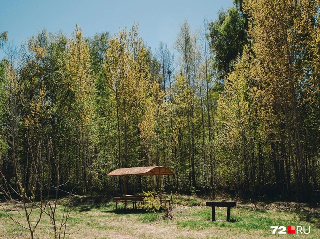 Всего тут&nbsp;— пять комплектов беседок с мангалами. Чем раньше приехали, тем выше шансы занять одну для себя | Источник: Ирина Шарова / 72.RU 
