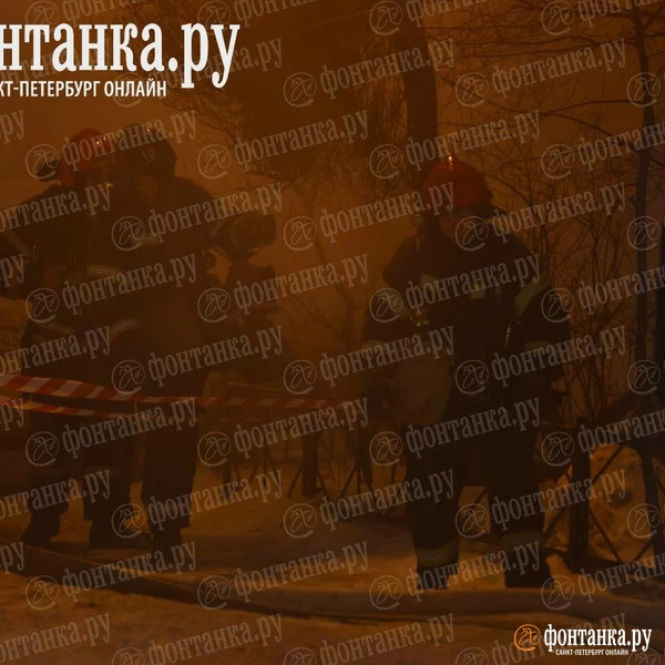 Источник: Дарья Драй / «Фонтанка.ру»