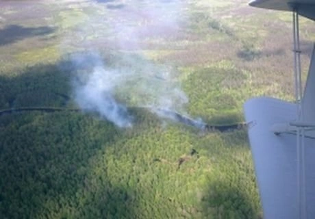В Рязанской области потушено два лесных пожара | ya62.ru