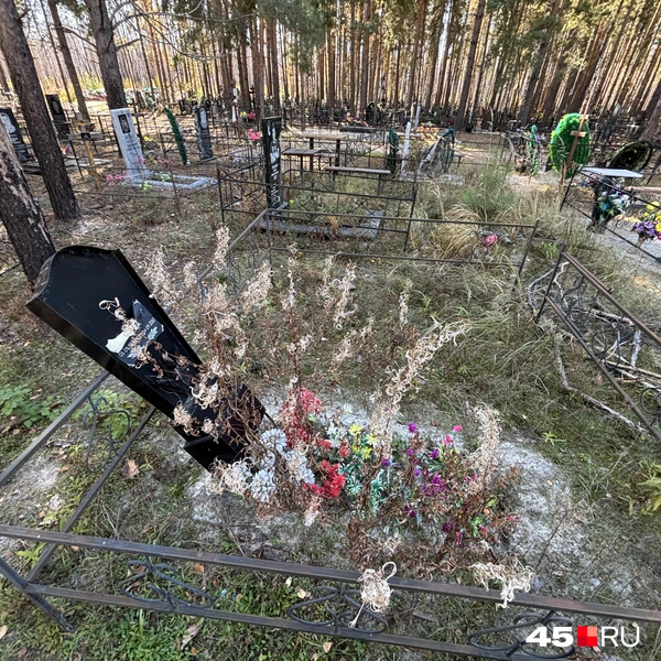 Источник: Кирилл Митин