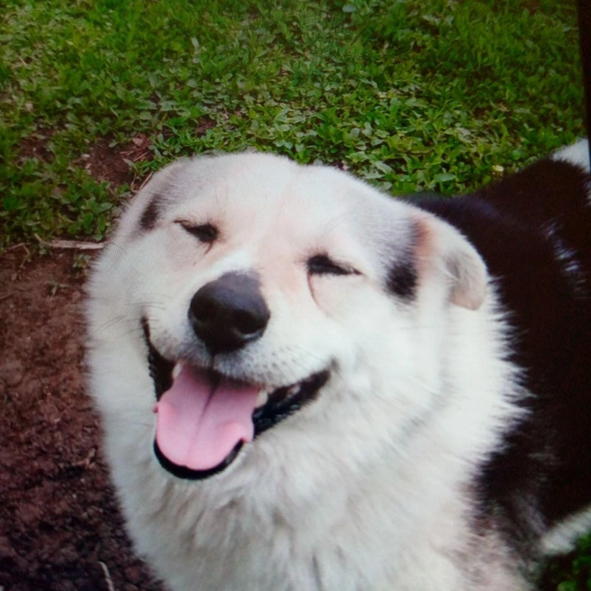 Наконец-то выходные! | Источник: читатель 63.RU