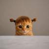 userpic__Александра Ашуватова