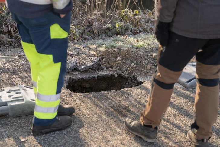Умеют устроить хаос. Горячую линию по вопросам бобров пришлось создать в Швейцарии