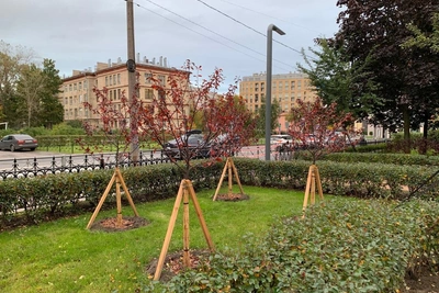 Сквер Пироцкого открыли после благоустройства