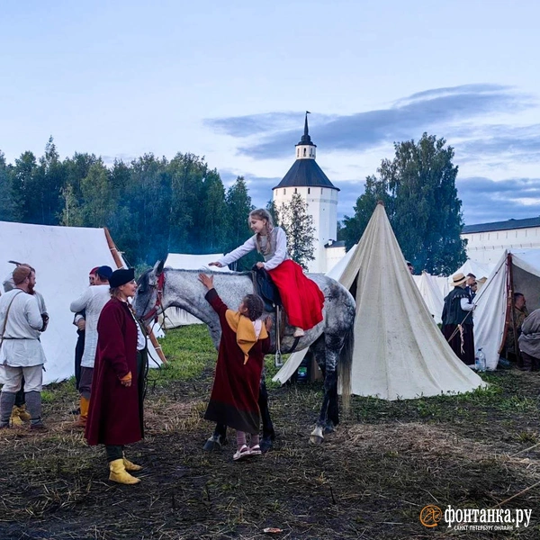 Лошади не обращают внимания на людские тревоги | Источник: Ксения Потеева / FONTANKA.RU