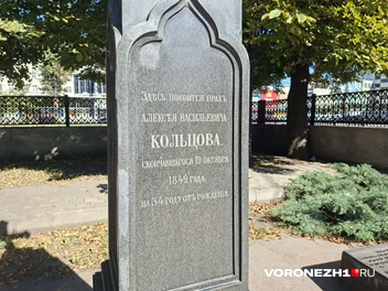 Источник: Алёна Воропаева / Voronezh1.ru