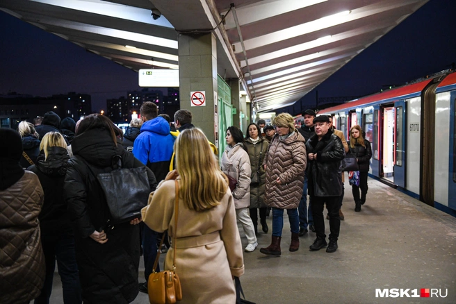 На фиолетовой ветке столичного метро пассажир упал на пути | Источник: Артём Устюжанин / MSK1.RU