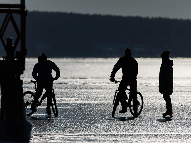 Горожане собирались на мероприятии группами | Источник: Александр Ощепков / NGS.RU