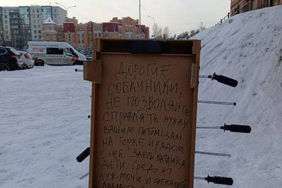 Дед Мороз просит собачников не гадить на горке в Коломягах