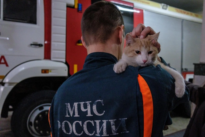 В рамках рабочей встречи министр МЧС Александр Куренков и Анатолий Серышев обсудили приоритетные задачи по обеспечению безопасности | 142.ru