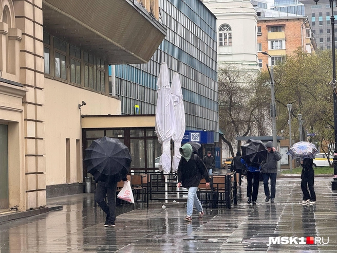 В Москве начался сильный дождь | Источник: Дмитрий Толстошеев / MSK1.RU