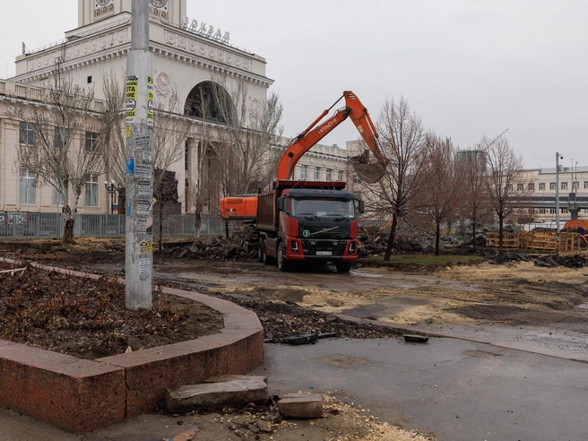 По планам, здесь появятся новые деревья и рулонные газоны. | Источник: Алексей Волхонский / V1.RU