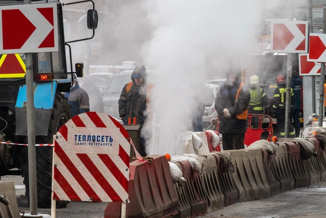 Странный клен стучит в окно. Что не понравилось контролерам в симфонии Смольного и «Теплосети» | Источник: Огнев Михаил/«Фонтанка.ру»