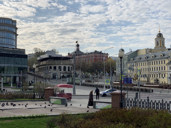 Москва глазами собачника: прогулки по центру столицы