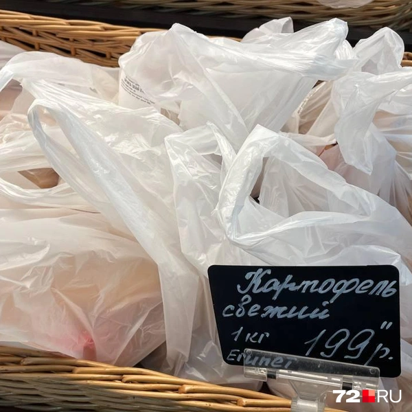 Источник: Дарья Макеева / 72.RU