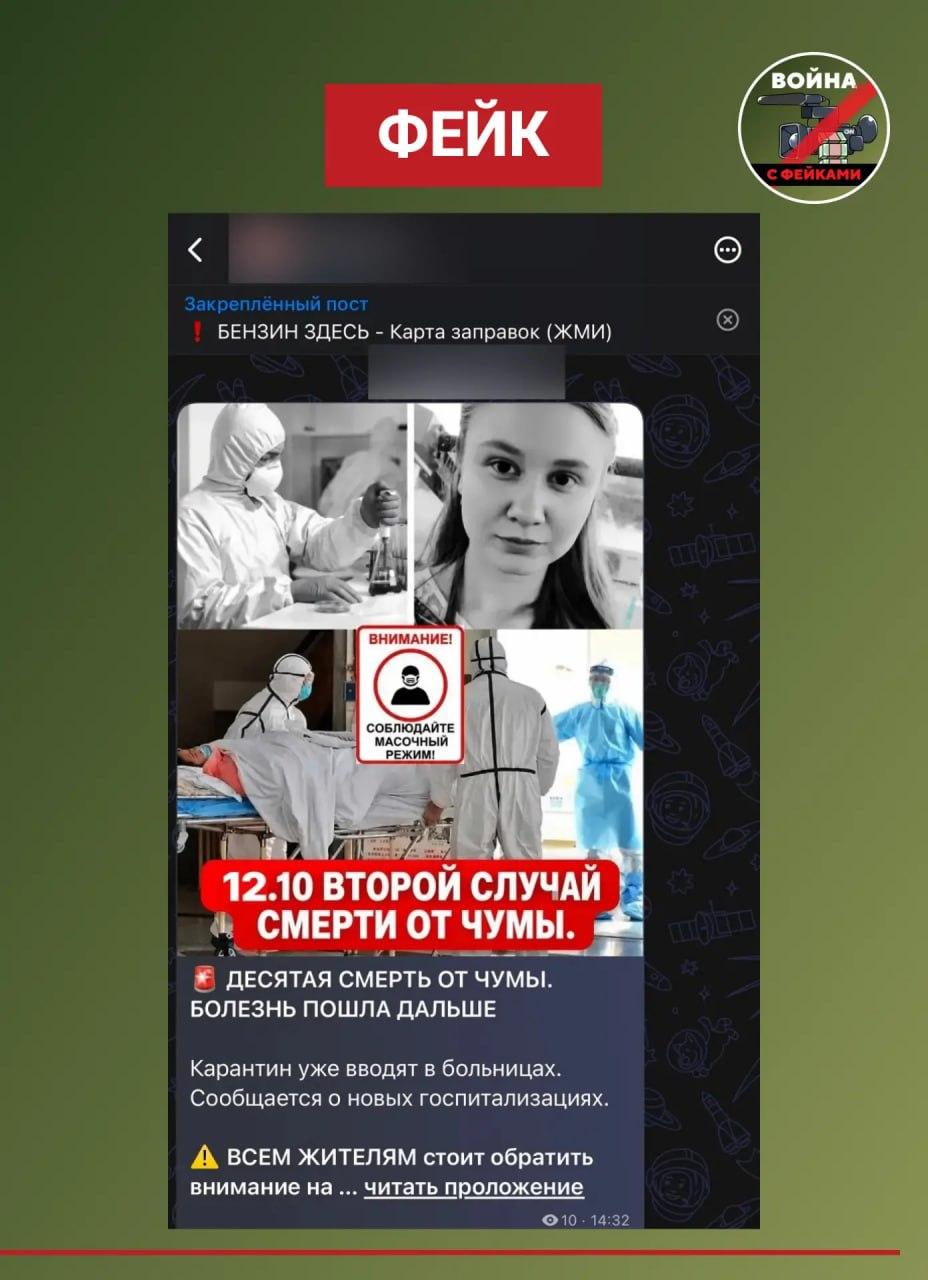 «Болезнь пошла дальше»: воронежцев пугают сообщениями о десятке смертей от чумы