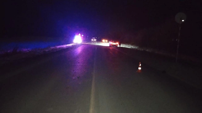 Инцидент произошёл вечером в Новосибирской области | Источник: Госавтоинспекции Новосибирской области / Телеграм