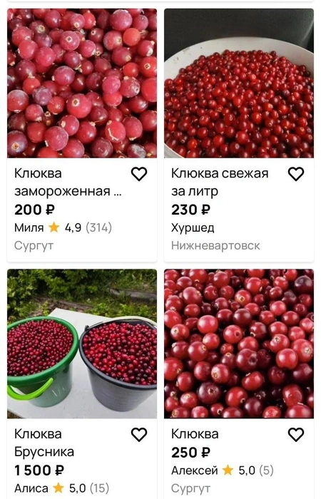 Некоторые продавцы предлагают купить клюкву сразу в большом объеме | Источник: Avito.ru