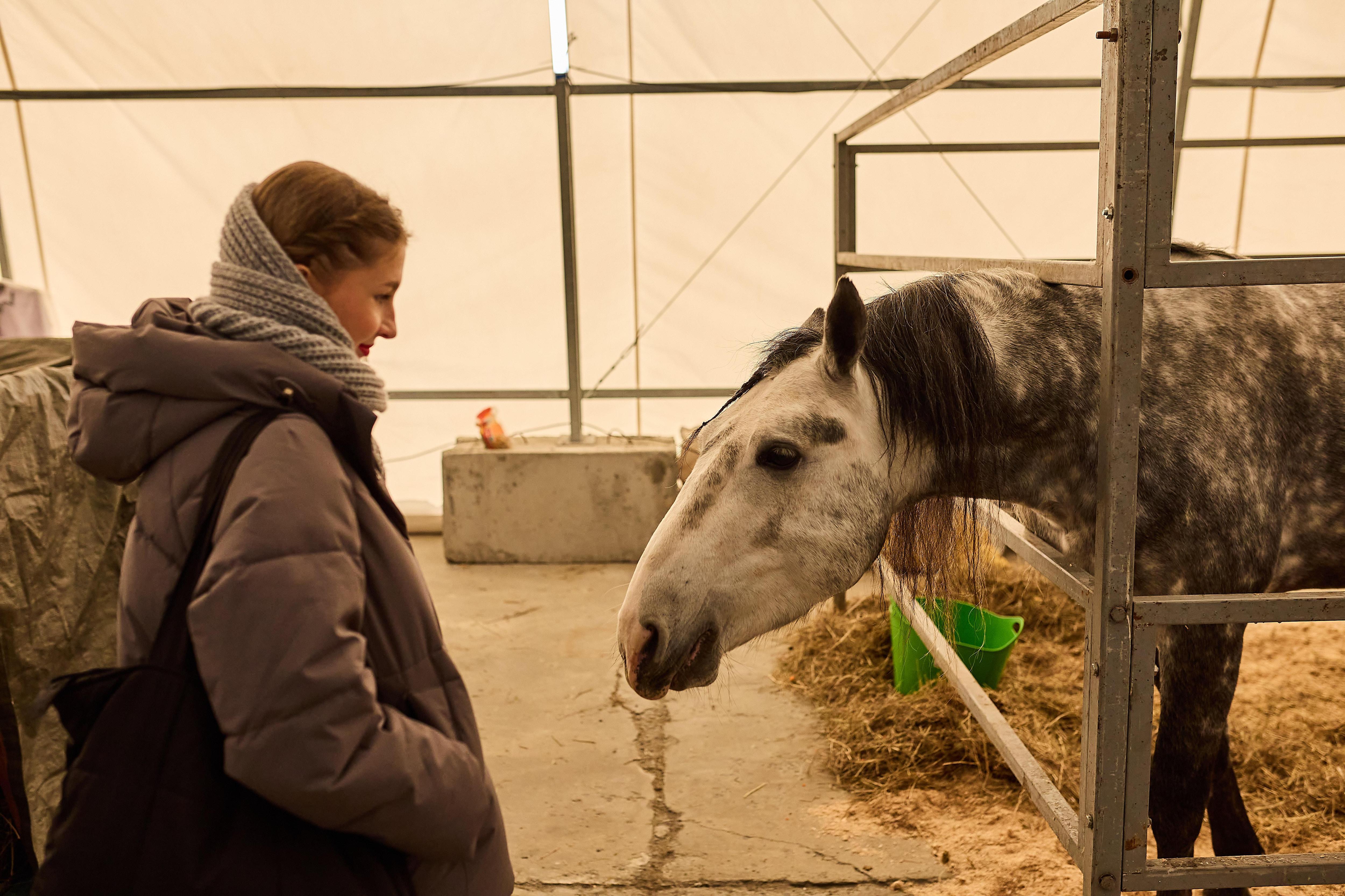 Что вас ждет в 2026-м: на что обратить внимание разным знакам зодиака, чтобы добиться успеха