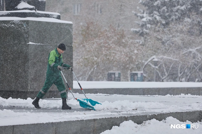 Источник: Александр Ощепков / NGS.RU