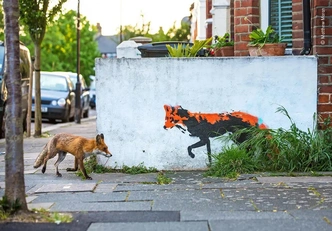 Источник: Wildlife Photographer of the Year