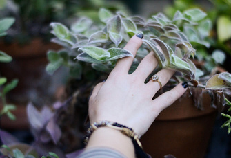 Вопросы читателей: любят ли растения, когда их трогают?
