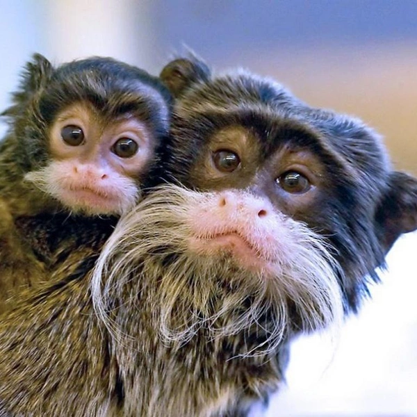 Источник: Соцсети